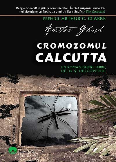 Cromozomul Calcutta