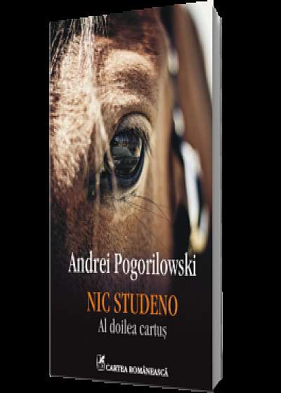 Coperta cărții Nic Studeno. Al doilea cartuș