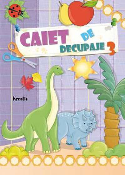 Caiet de decupaje 3