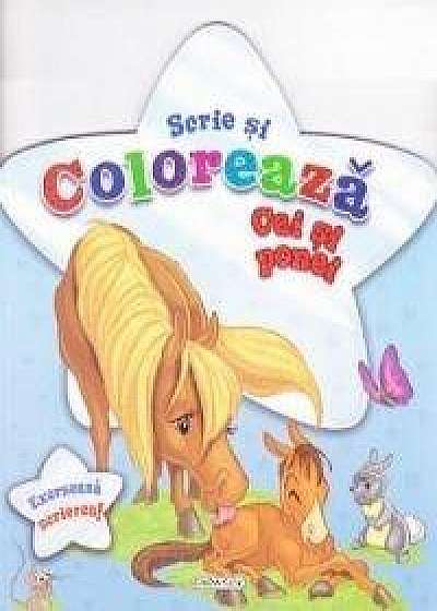 Coperta cărții Scrie si coloreaza cai si ponei - bleu