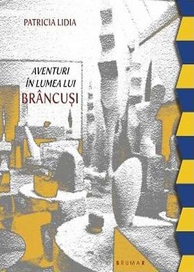 Coperta cărții Aventuri in lumea lui Brancusi