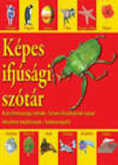 Kepes ifjusagi szotar - Dictionar vizual pentru cei mici Hu