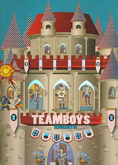 Teamboys Knights Castels - Stickers