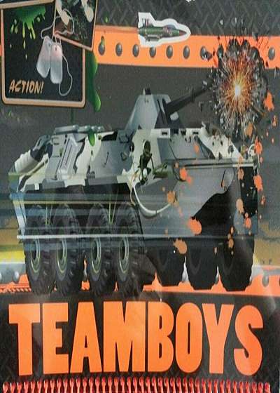Teamboys Army - Stickers