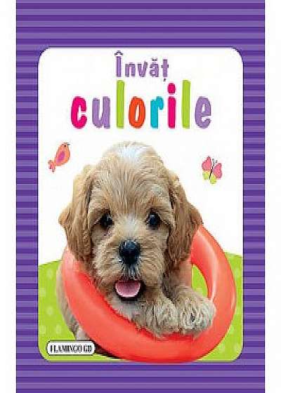 Coperta cărții Invat culorile