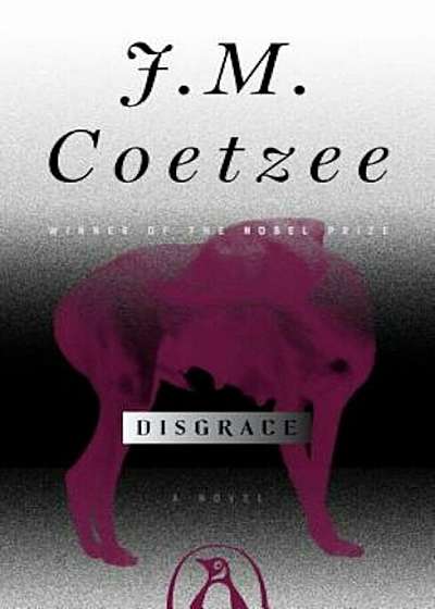 Disgrace, Paperback