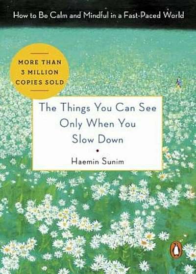 The Things You Can See Only When You Slow Down: How to Be Calm and Mindful in a Fast-Paced World, Hardcover