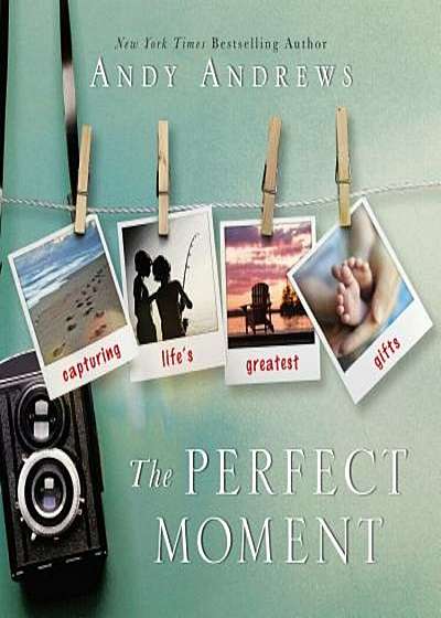 The Perfect Moment, Hardcover