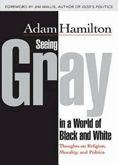 Seeing Gray in a World of Black and White: Thoughts on Religion, Morality, and Politics, Paperback