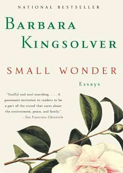 Small Wonder: Essays, Paperback