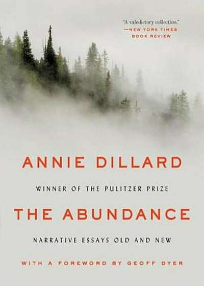 The Abundance: Narrative Essays Old and New, Paperback
