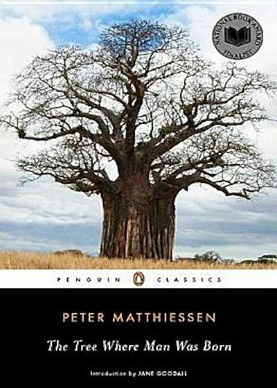 The Tree Where Man Was Born, Paperback