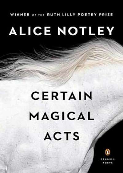 Certain Magical Acts, Paperback
