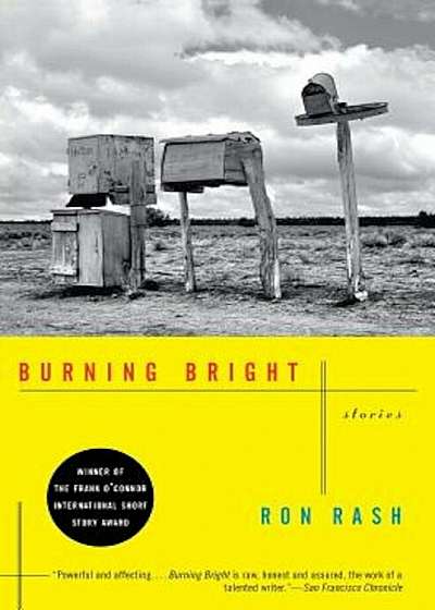 Burning Bright: Stories, Paperback