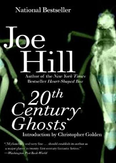 20th Century Ghosts, Paperback