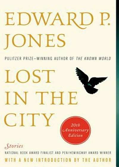 Lost in the City - 20th Anniversary Edition: Stories, Paperback
