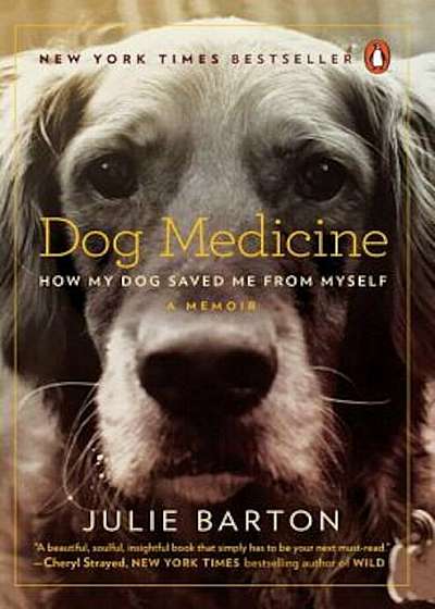 Dog Medicine: How My Dog Saved Me from Myself, Paperback
