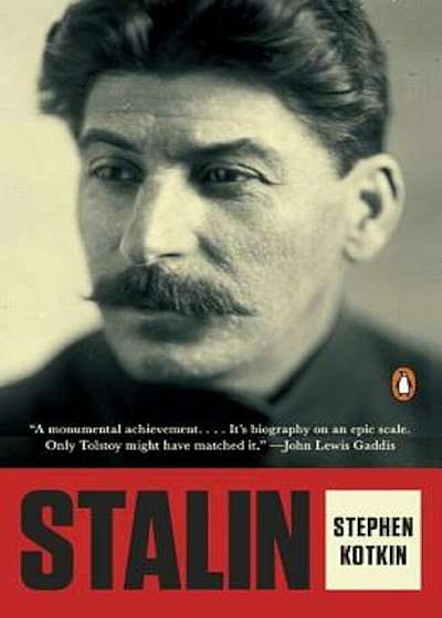 Stalin: Paradoxes of Power, 1878-1928, Paperback