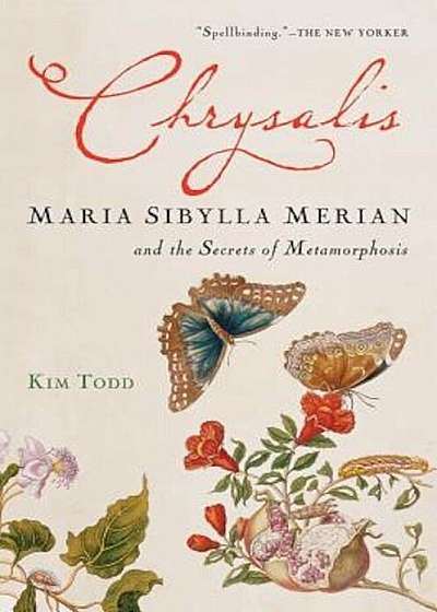 Chrysalis: Maria Sibylla Merian and the Secrets of Metamorphosis, Paperback