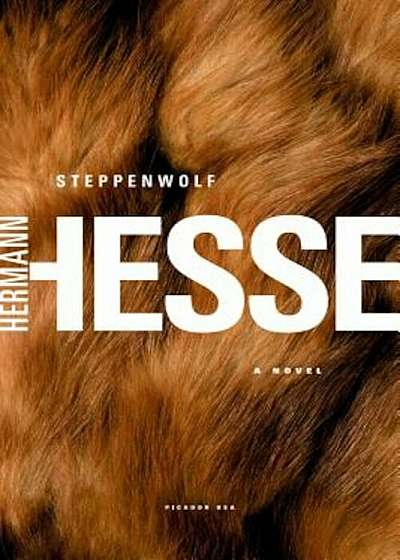 Steppenwolf, Paperback