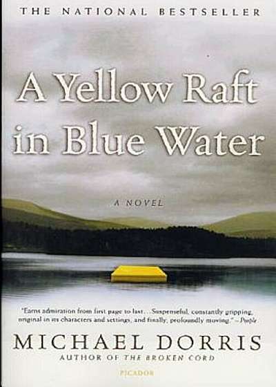 A Yellow Raft in Blue Water, Paperback