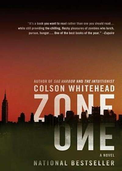 Zone One, Paperback