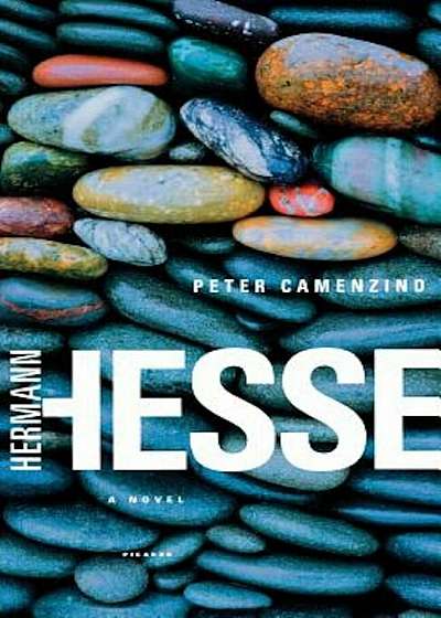 Peter Camenzind, Paperback