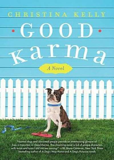 Good Karma, Paperback