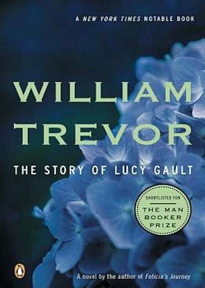 The Story of Lucy Gault, Paperback