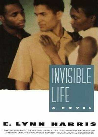 Invisible Life, Paperback