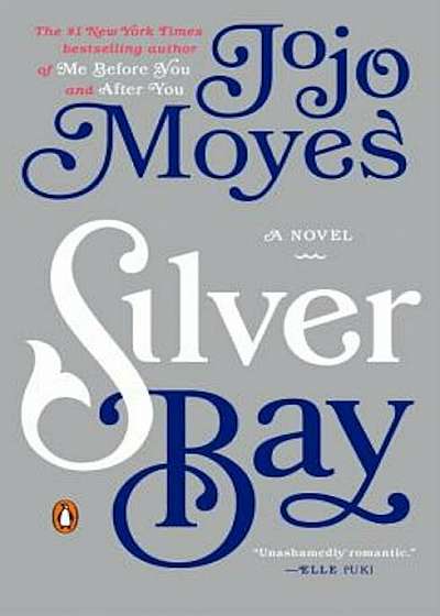 Silver Bay, Paperback