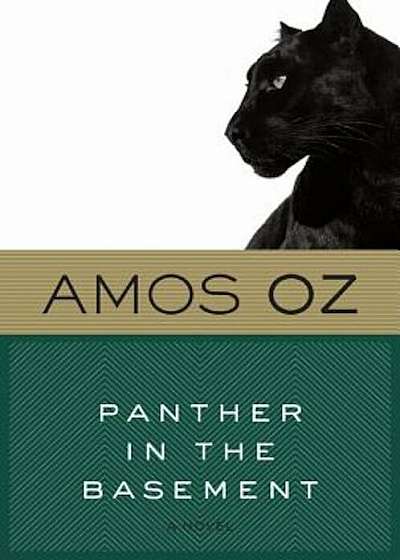 Panther in the Basement, Paperback