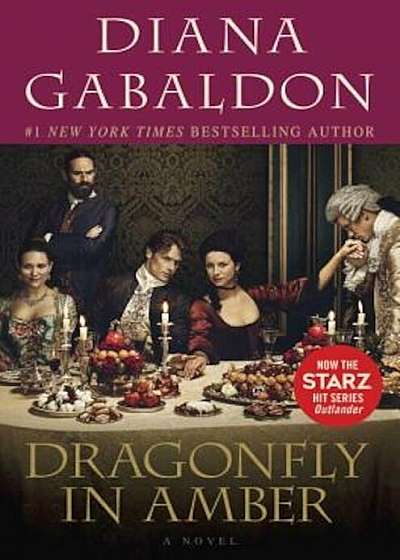 Dragonfly in Amber, Paperback