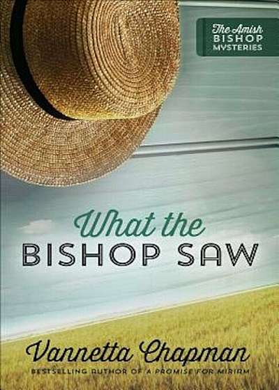 What the Bishop Saw, Paperback