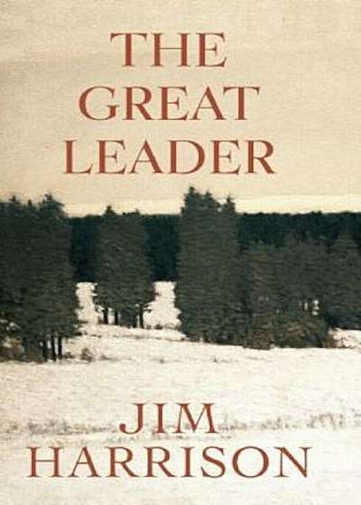 The Great Leader: A Faux Mystery, Paperback