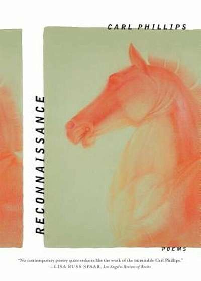 Reconnaissance: Poems, Paperback