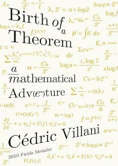 Birth of a Theorem: A Mathematical Adventure, Paperback