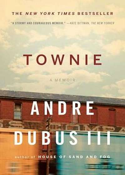 Townie: A Memoir, Paperback