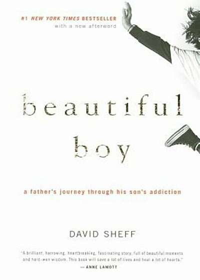 Beautiful Boy: A Father's Journey Through His Son's Addiction, Paperback