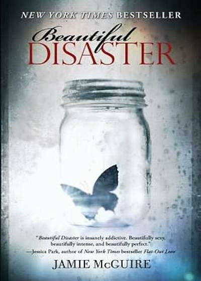 Beautiful Disaster, Paperback