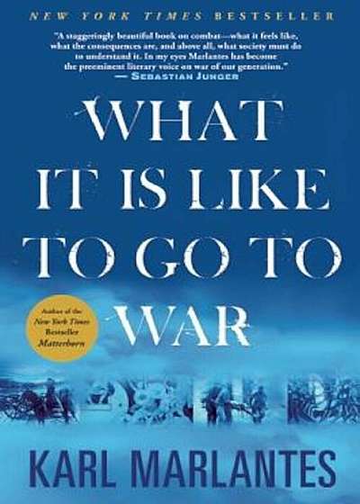 What It Is Like to Go to War, Paperback