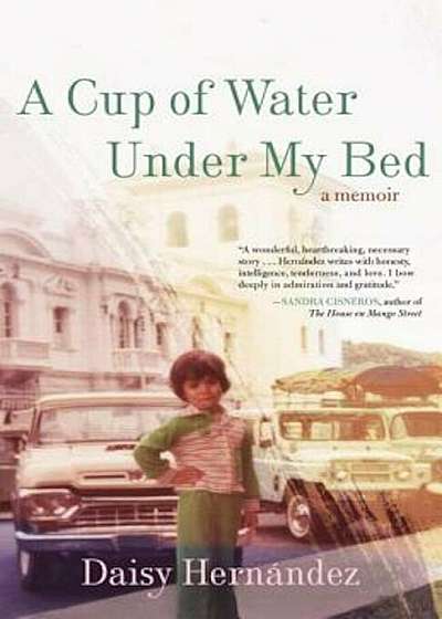 A Cup of Water Under My Bed: A Memoir, Paperback