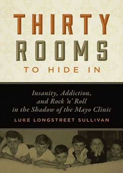Thirty Rooms to Hide in: Insanity, Addiction, and Rock 'n' Roll in the Shadow of the Mayo Clinic, Paperback