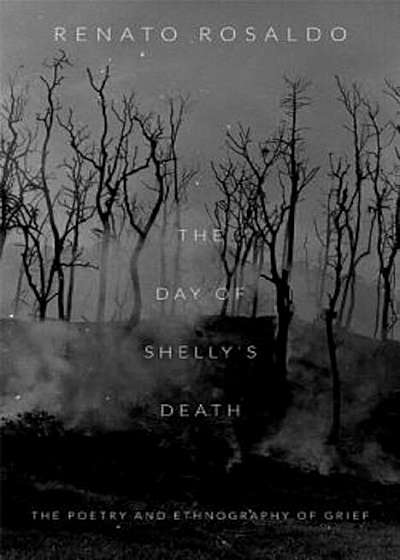 The Day of Shelly's Death: The Poetry and Ethnography of Grief, Paperback