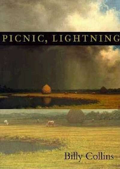 Picnic, Lightning, Paperback
