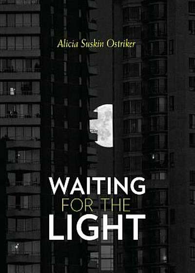 Waiting for the Light, Paperback