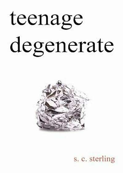 Teenage Degenerate: A Memoir That Explores the Depths of Methamphetamine and Drug Addiction, Paperback