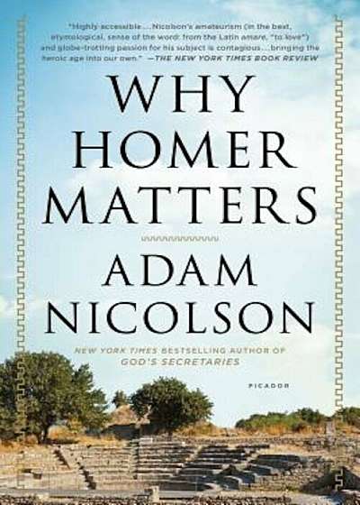 Why Homer Matters: A History, Paperback