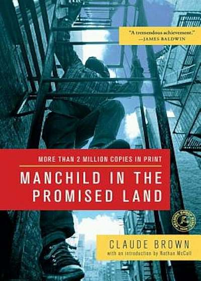 Manchild in the Promised Land, Paperback