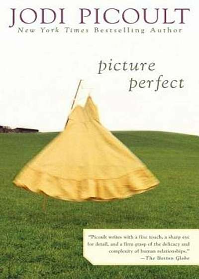 Picture Perfect, Paperback